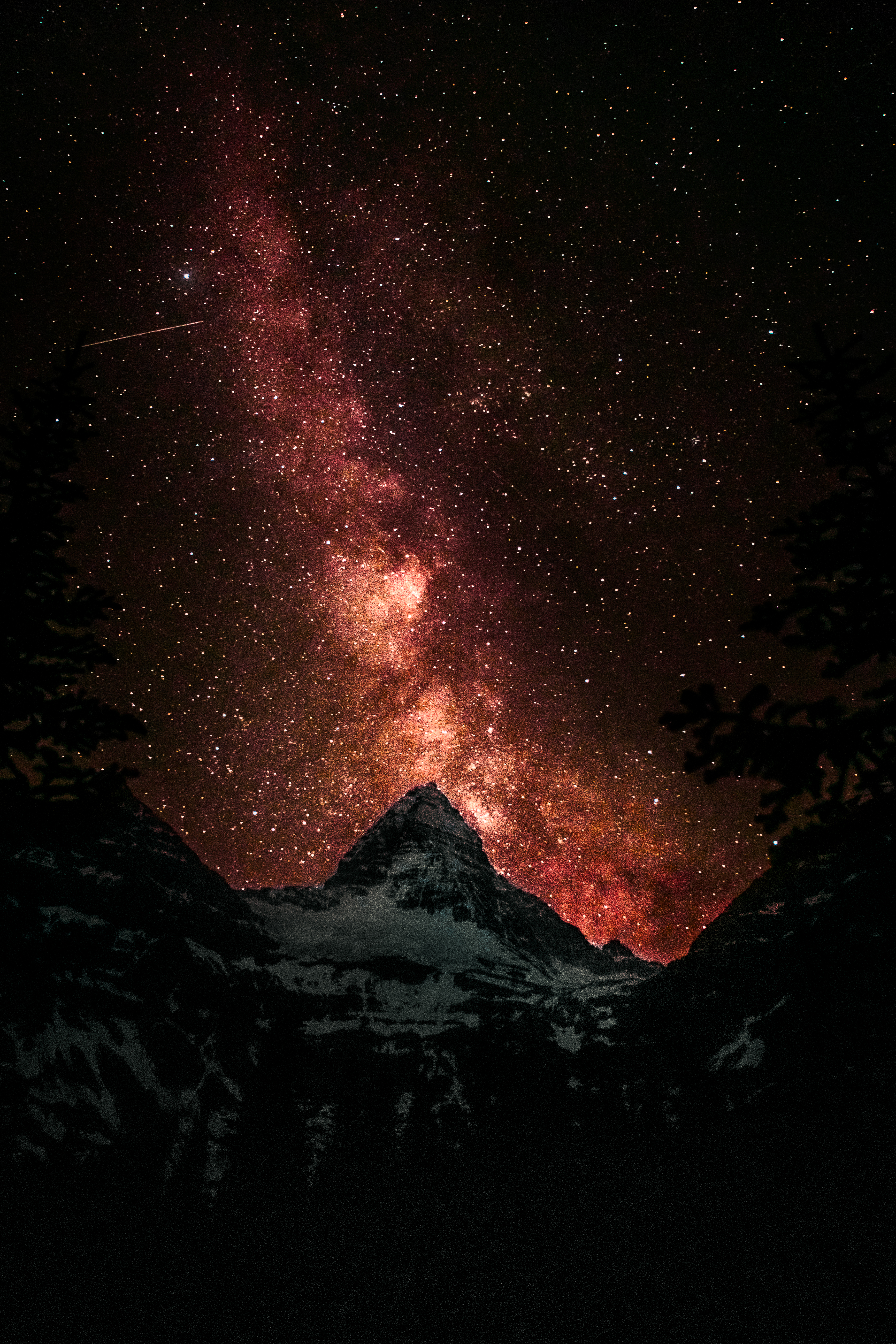 Built for the field capture