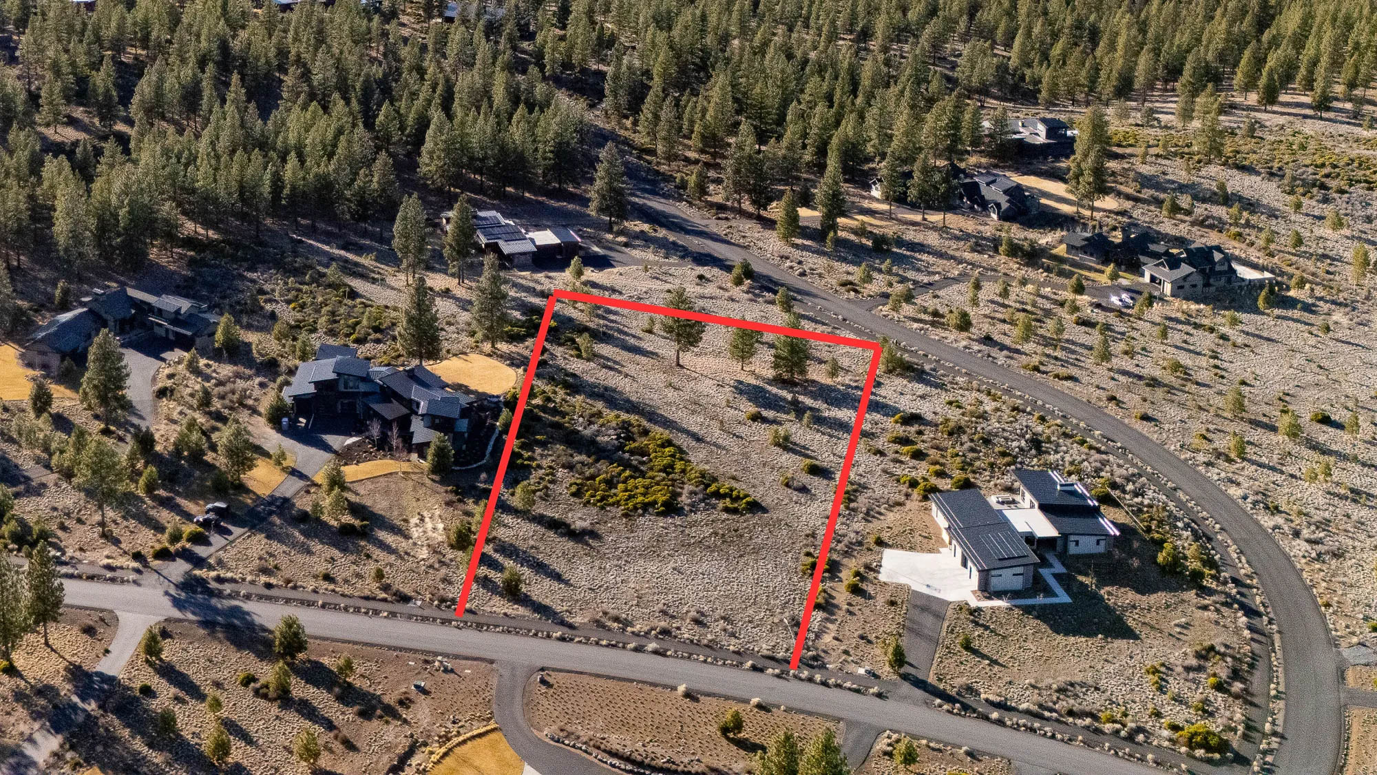 Lot Listing